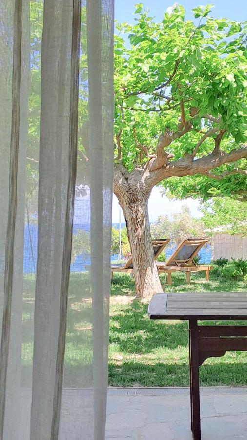 Nama Beach House Arkadiko Chorio Exteriér fotografie