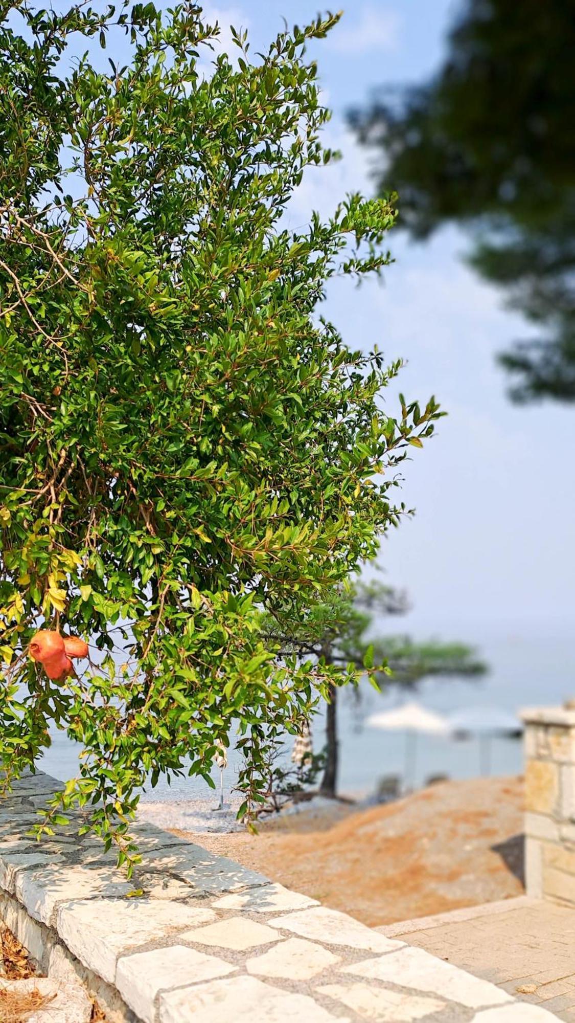 Nama Beach House Arkadiko Chorio Exteriér fotografie